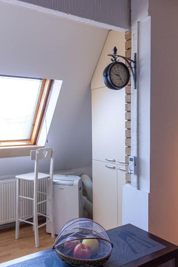 Apartman "Soba Sa Pogledom" 골루바츠 외부 사진